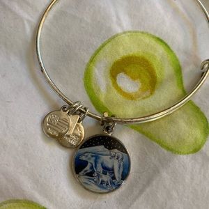 Alex and Ani winter bracelet